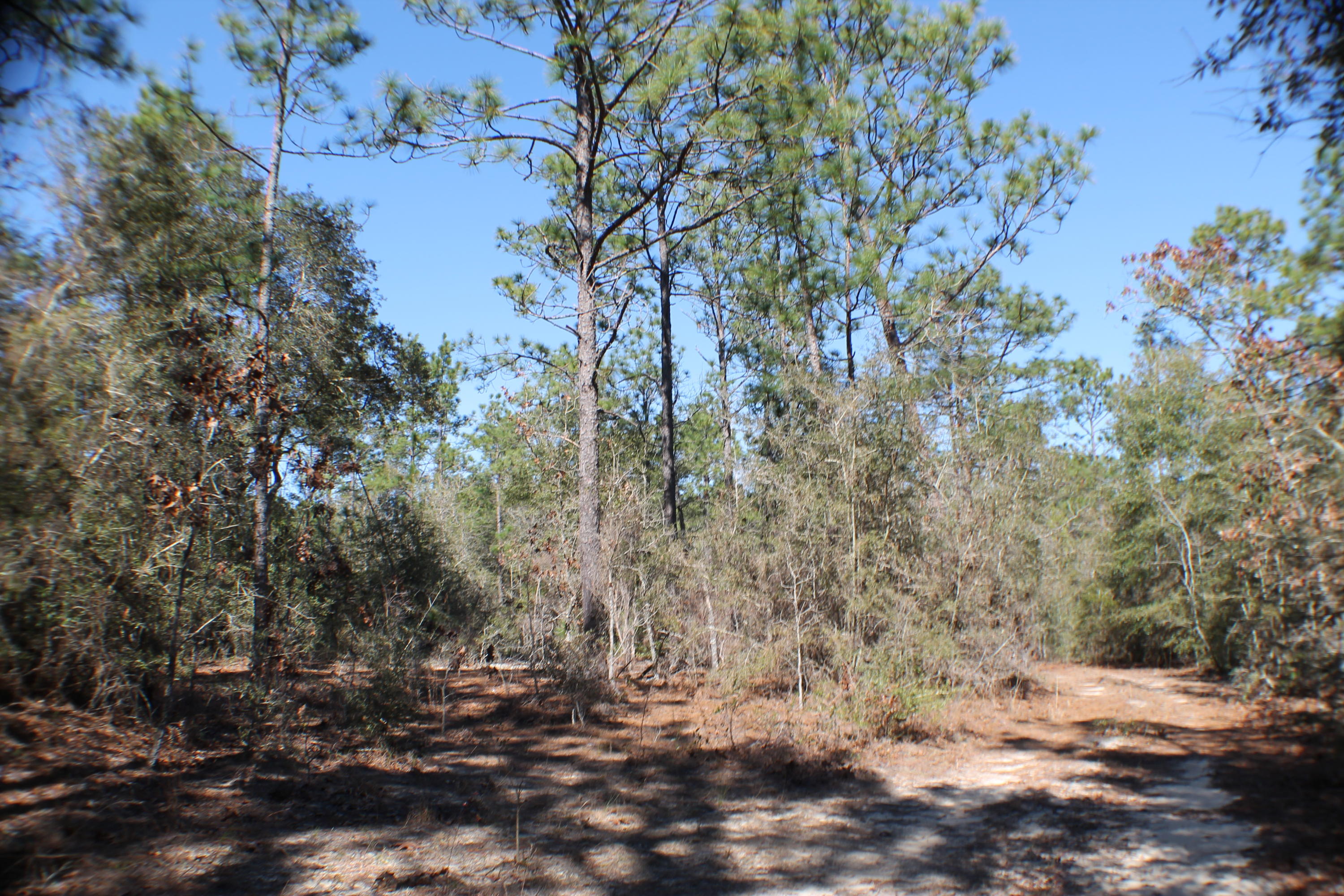 METES & BOUNDS - Farm