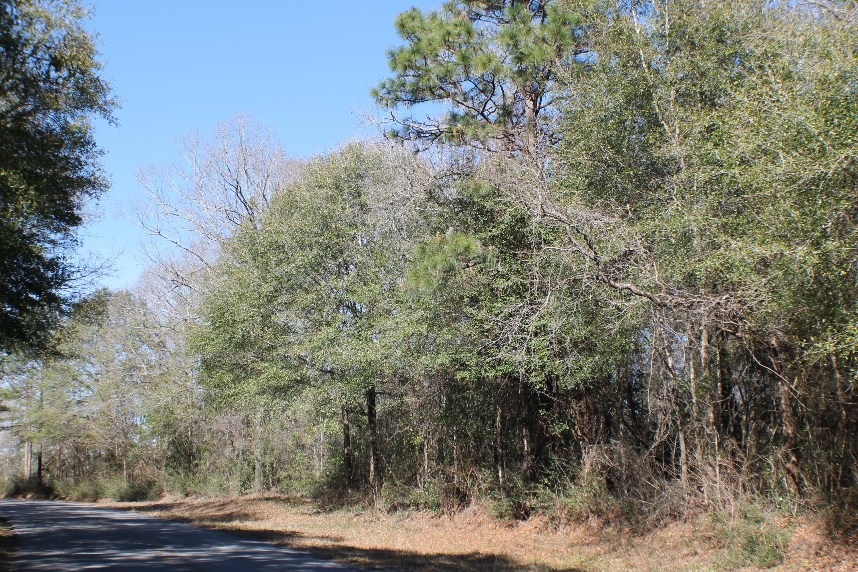 METES & BOUNDS - Farm