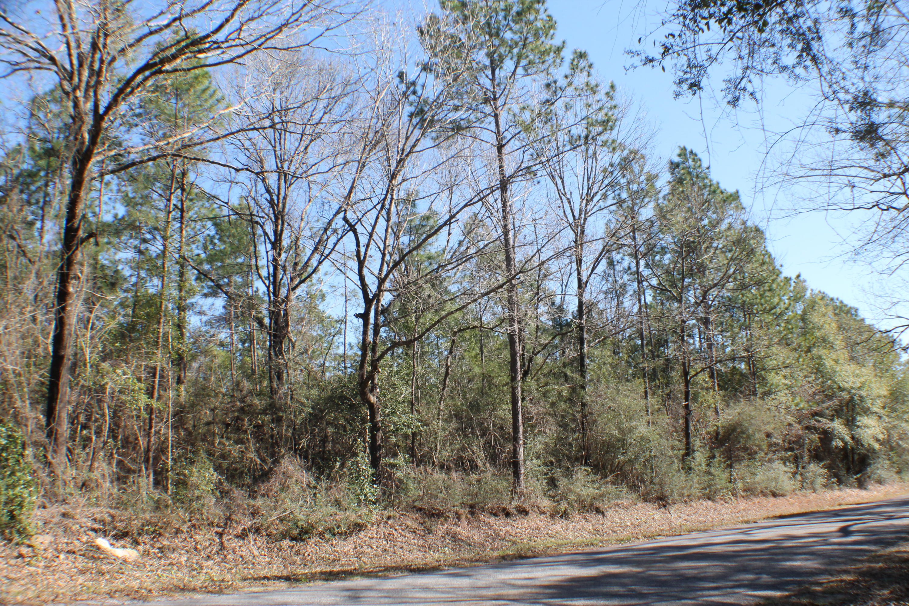 METES & BOUNDS - Farm