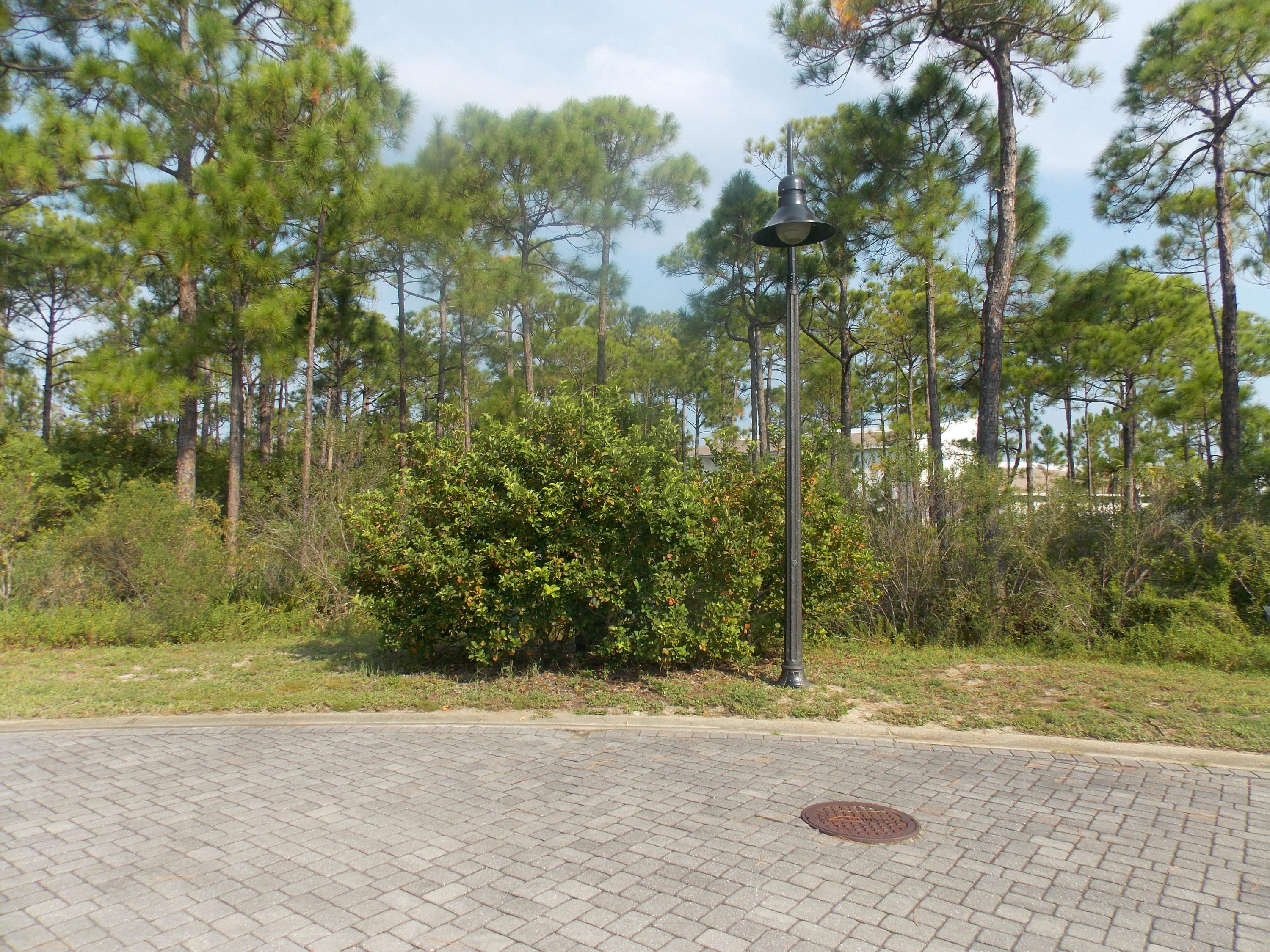 FRANGISTA BEACH - Land