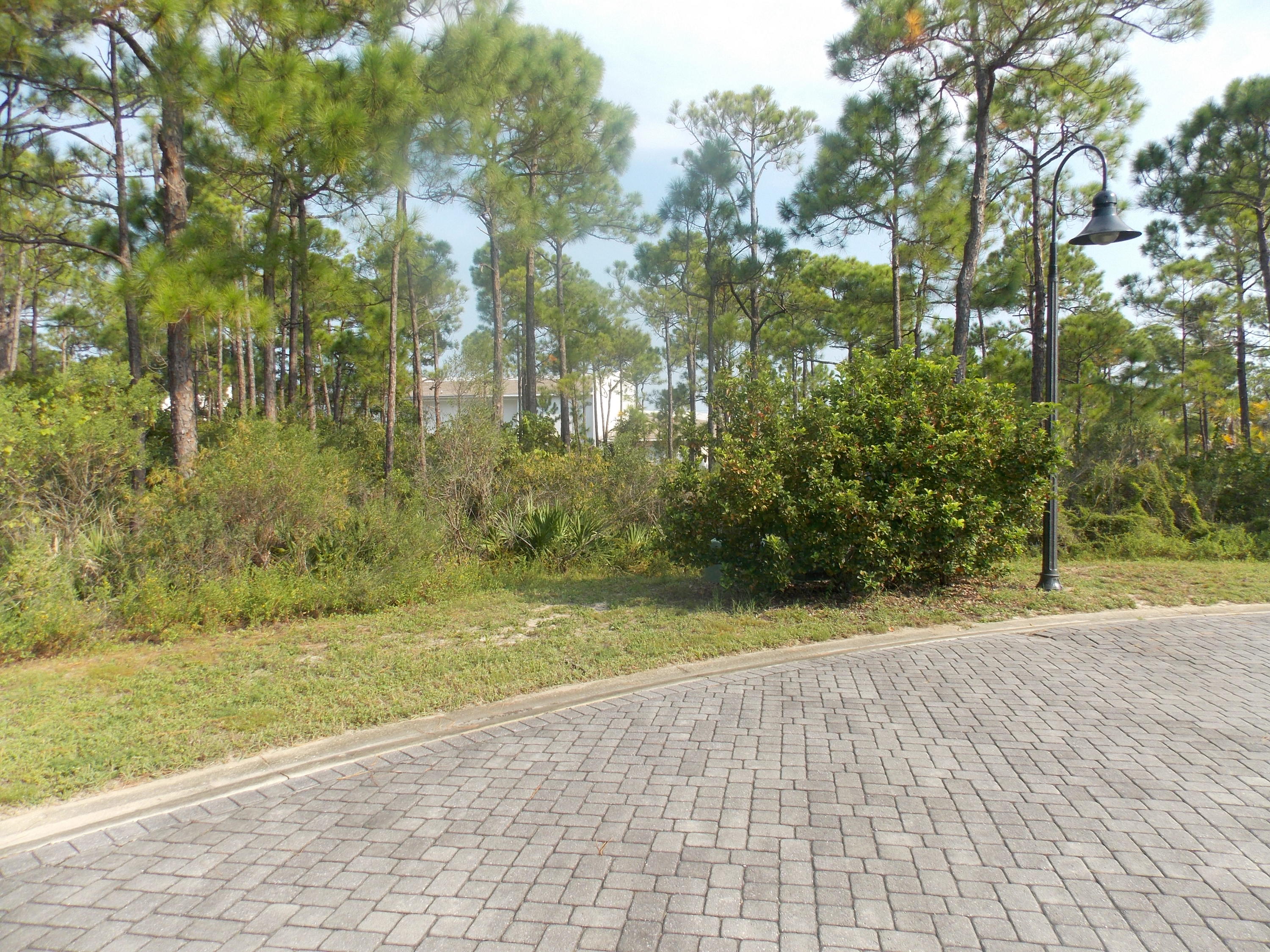 FRANGISTA BEACH - Land