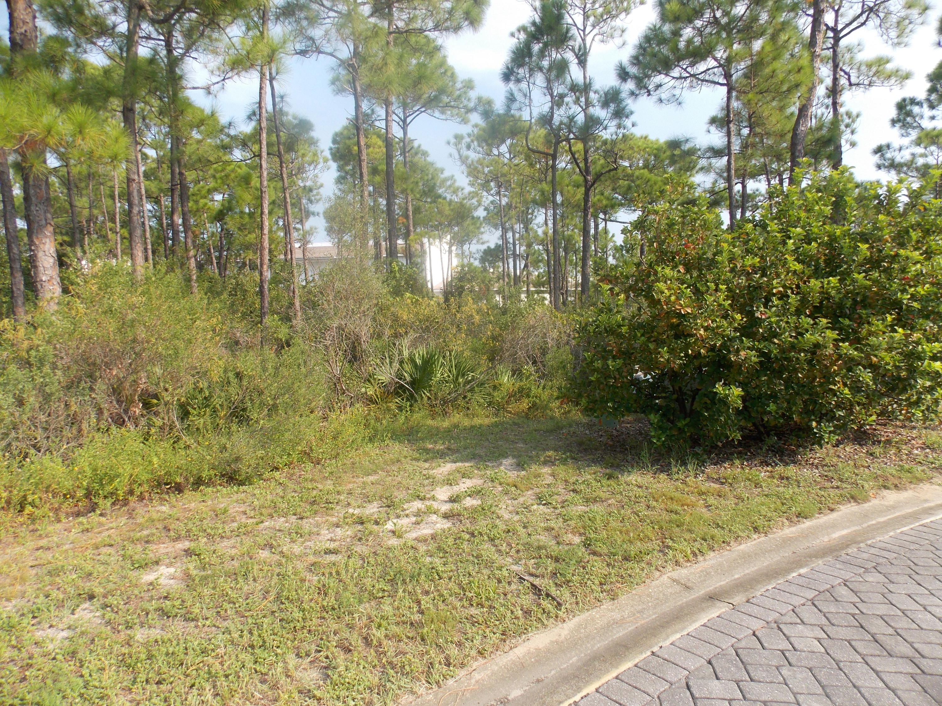 FRANGISTA BEACH - Land