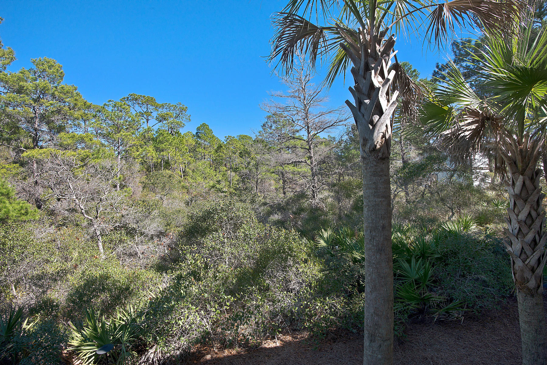 SEACREST BEACH PH 6 - Residential