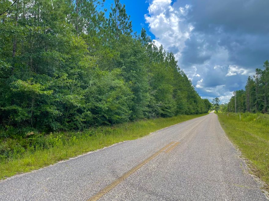 Welcome to the country! With this property being out of a flood zone, it is perfect for you and your future home. This property is covered in pine trees and blueberry bushes. Just a quick drive to the whitest beaches on the Emerald Coast. Electric is available! There is an existing survey already. Don't miss out on this.