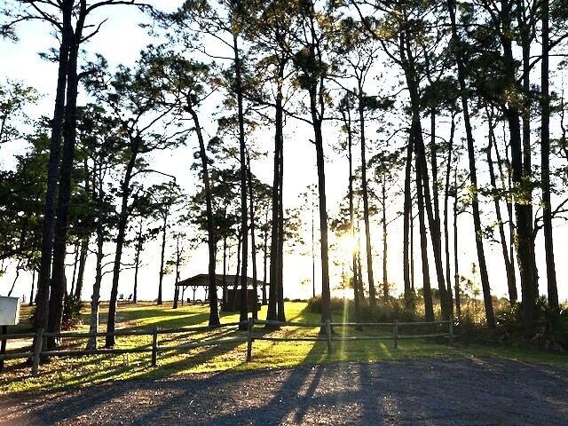 RAINTREE ESTATES - Residential