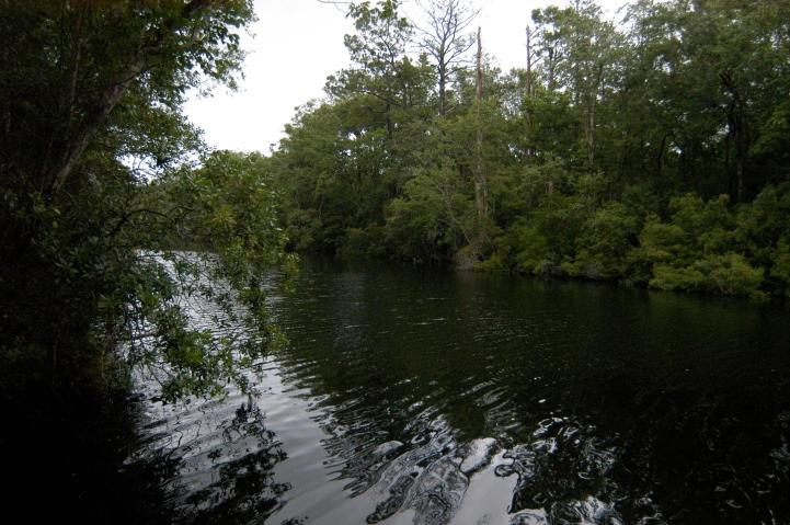 The Landings (Unrecorded S/D) - Residential