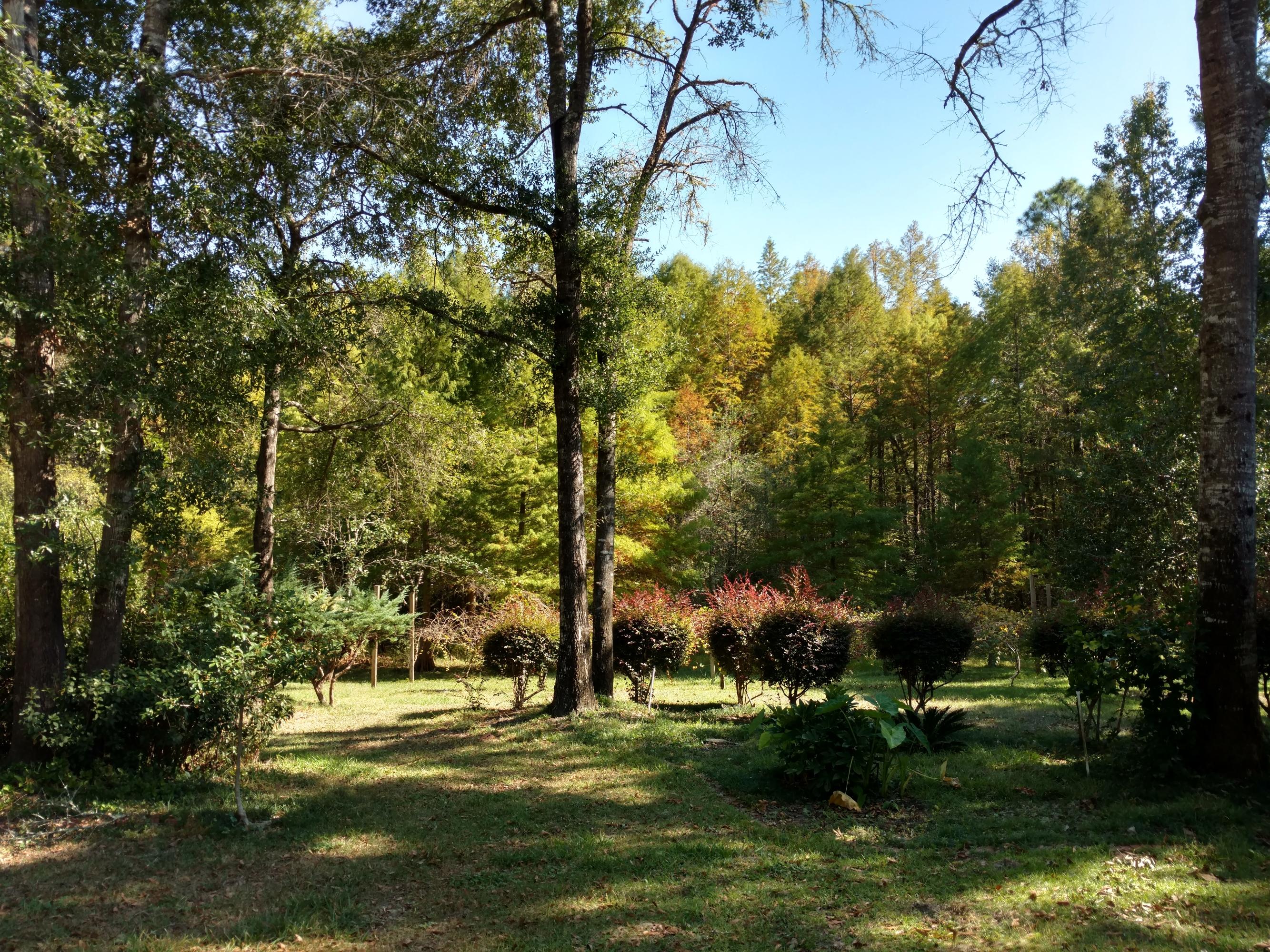 The Landings (Unrecorded S/D) - Residential