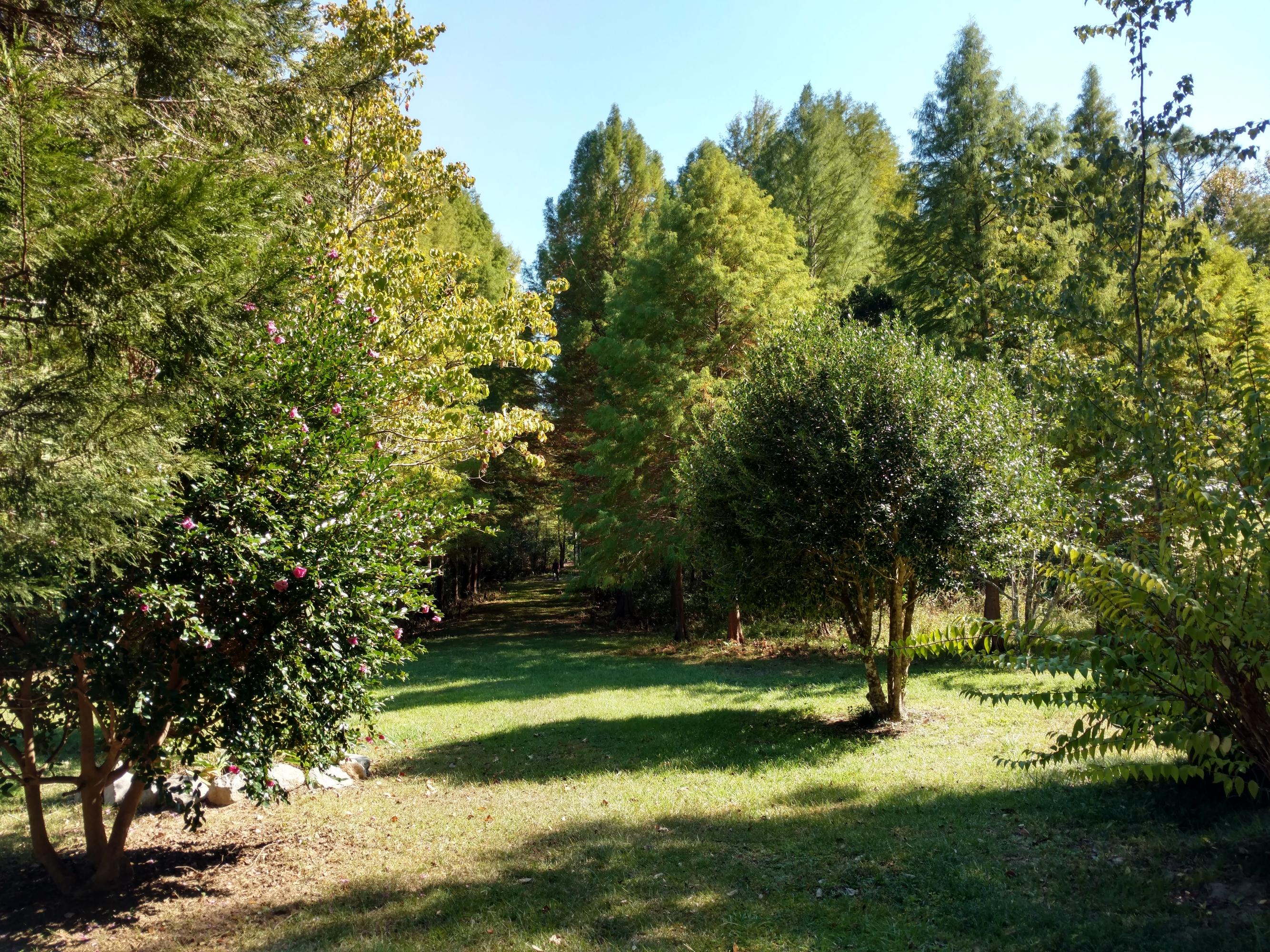 The Landings (Unrecorded S/D) - Residential