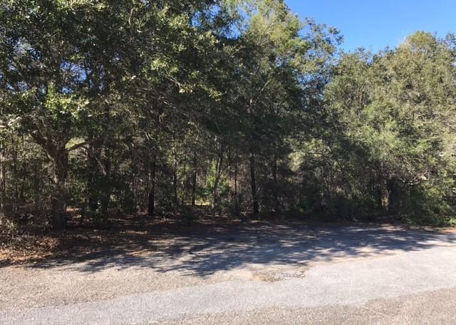 Beautiful wooded lot across from Black Creek. This 1/2 acre lot is situated just across the street from Black Creek in Freeport. Easy access to Hwy 331, Publix & the just across the bridge from the beach! Buyer to verify lot dimensions.