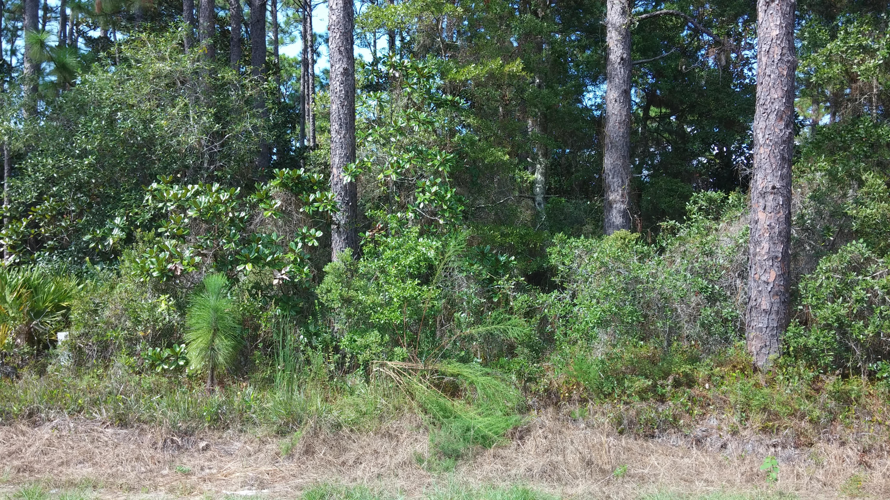 HATCHEE SHORES - Land