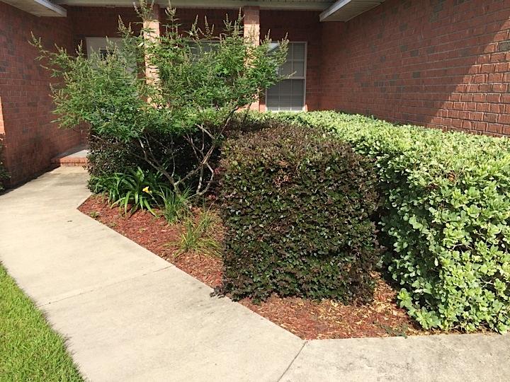 OLD BETHEL ESTATES PH 2 - Residential