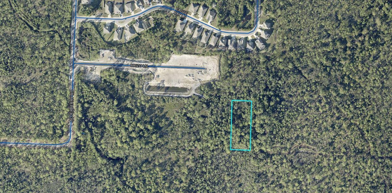 Fantastic opportunity to own a 1-acre parcel! Perfectly located east of Sandestin and west of Scenic 30A, you'll be close to Grand Boulevard's dining, shopping, and entertainment, Ascension Sacred Heart Hospital, and the beautiful beaches of the Emerald Coast. Zoned Conservation Residential, this property allows for up to 2 units per acre. Please note there is currently no road access to the property. Buyer to verify all information.