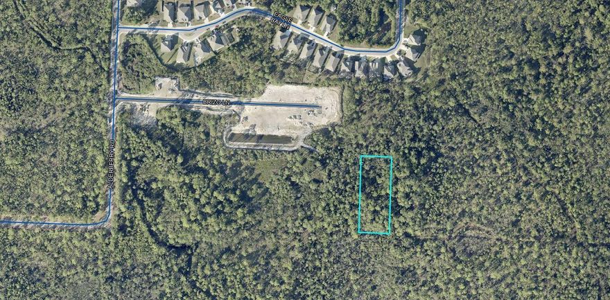 Fantastic opportunity to own a 1-acre parcel! Perfectly located east of Sandestin and west of Scenic 30A, with convenient access to Grand Boulevard's dining, shopping, and entertainment, Ascension Sacred Heart Hospital, and the beautiful beaches of the Emerald Coast. Zoned Conservation Residential, this property allows for up to 2 units per acre. Please note there is currently no road access to the property. Buyer to verify all information.