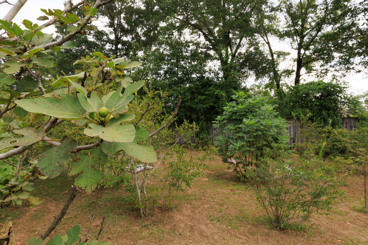 DEERFIELD ESTATES - Residential