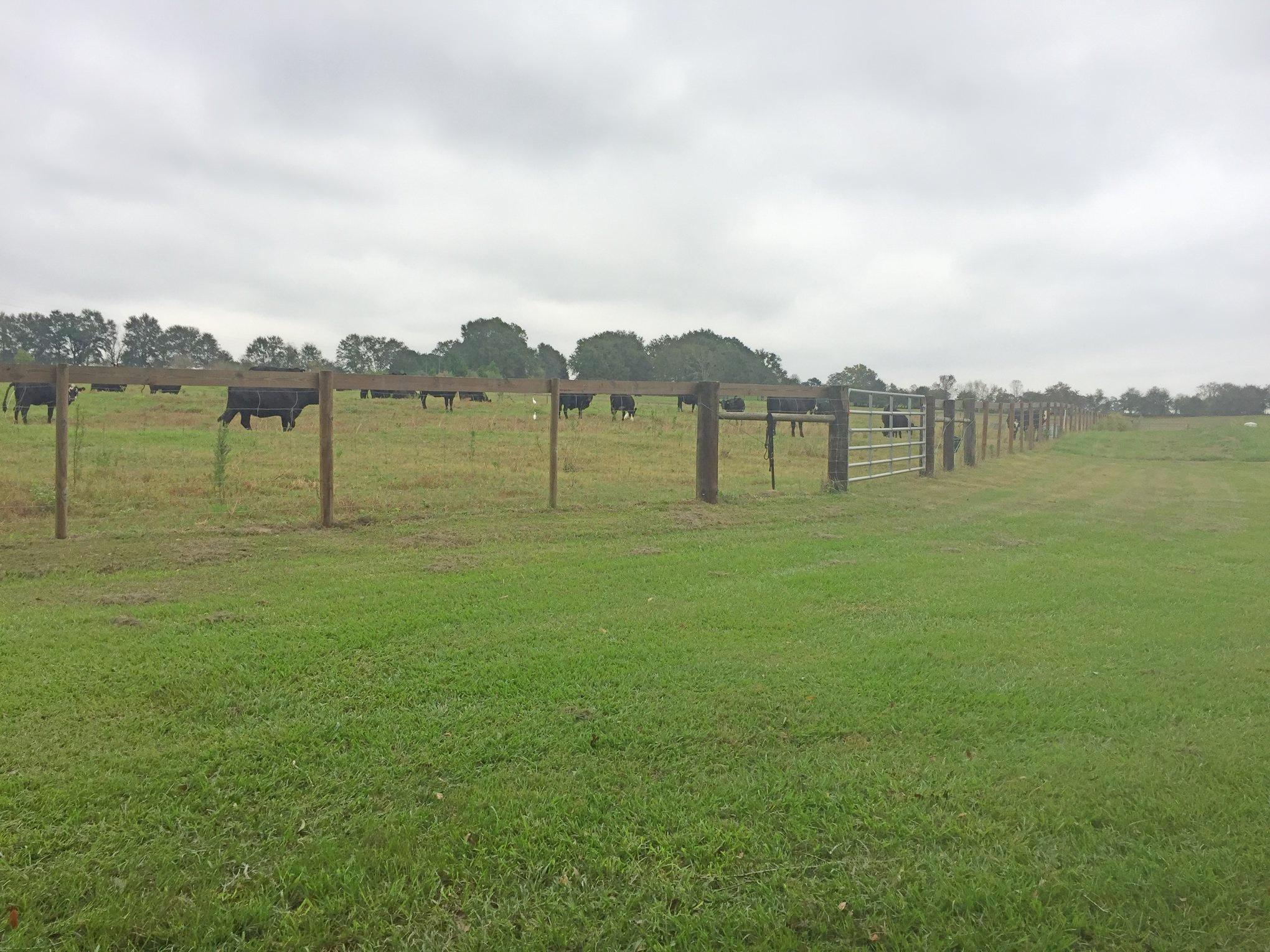 METES & BOUNDS - Farm