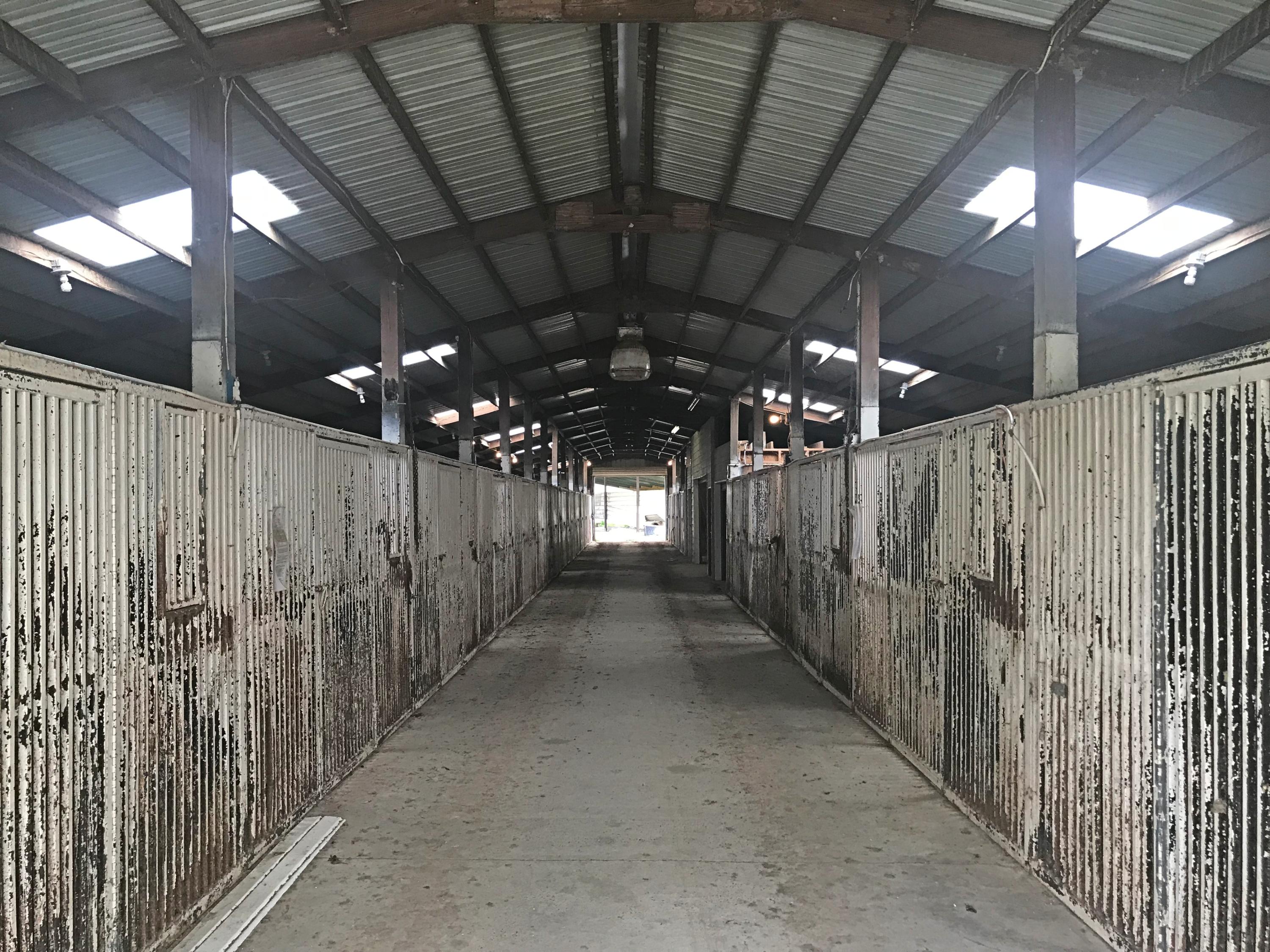 METES & BOUNDS - Farm