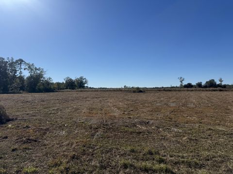 Photo of Lot 9 Hwy 71, Wewahitchka, FL 32465 (MLS # 985612)