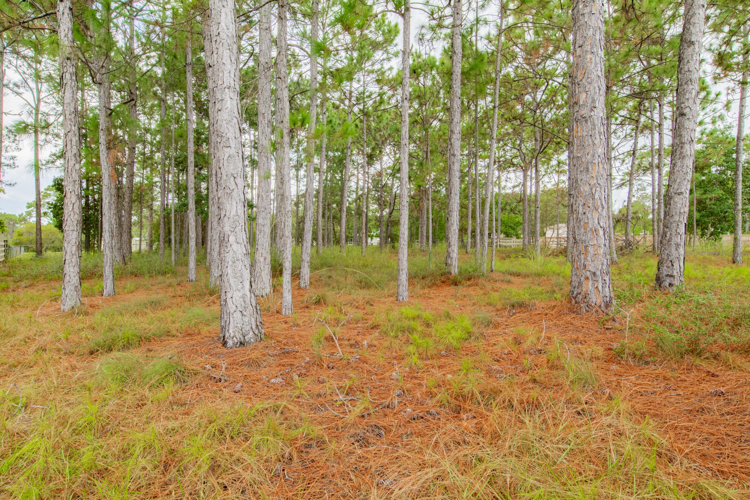 NONESUCH WAY - Residential