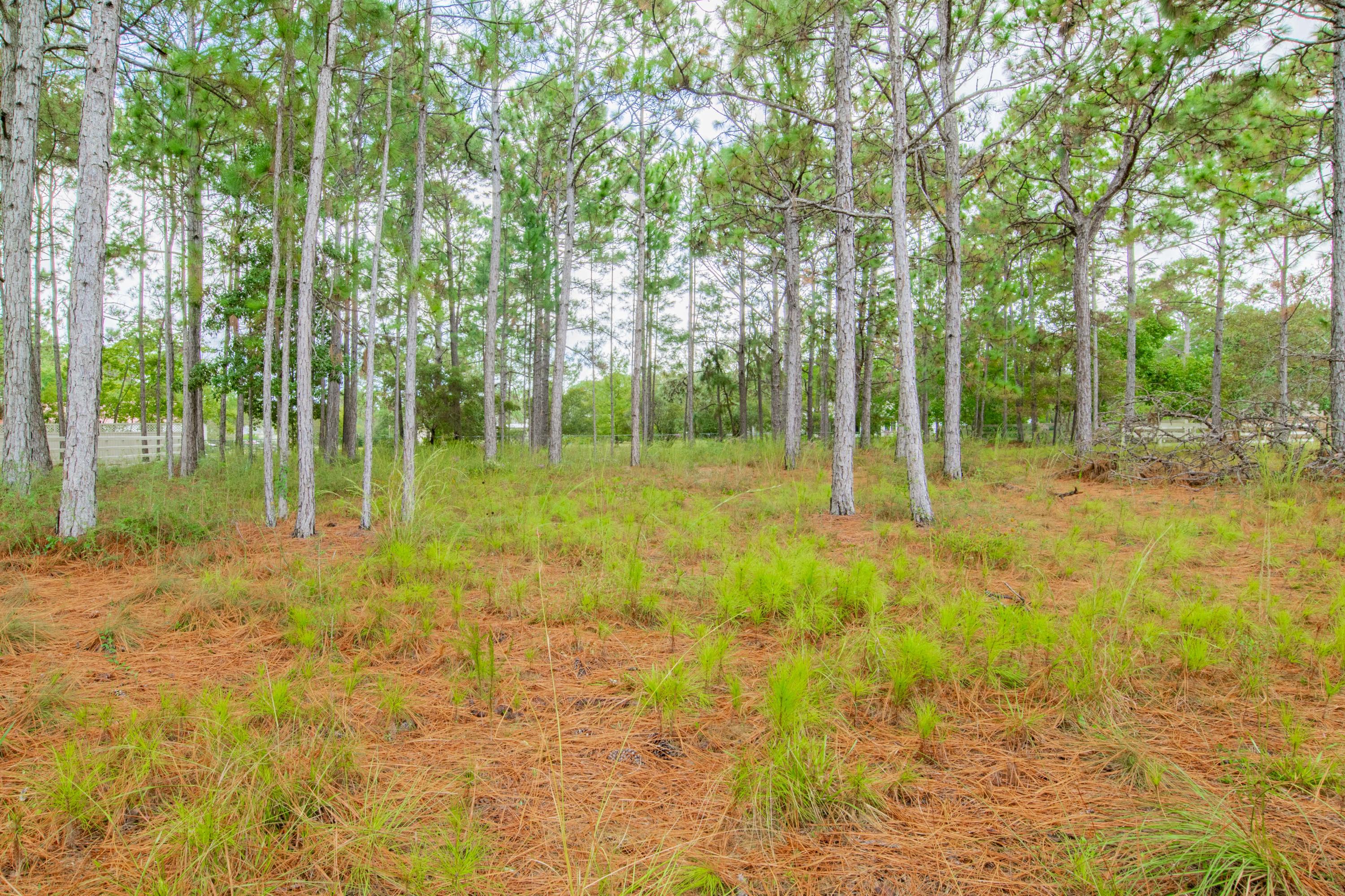 NONESUCH WAY - Residential