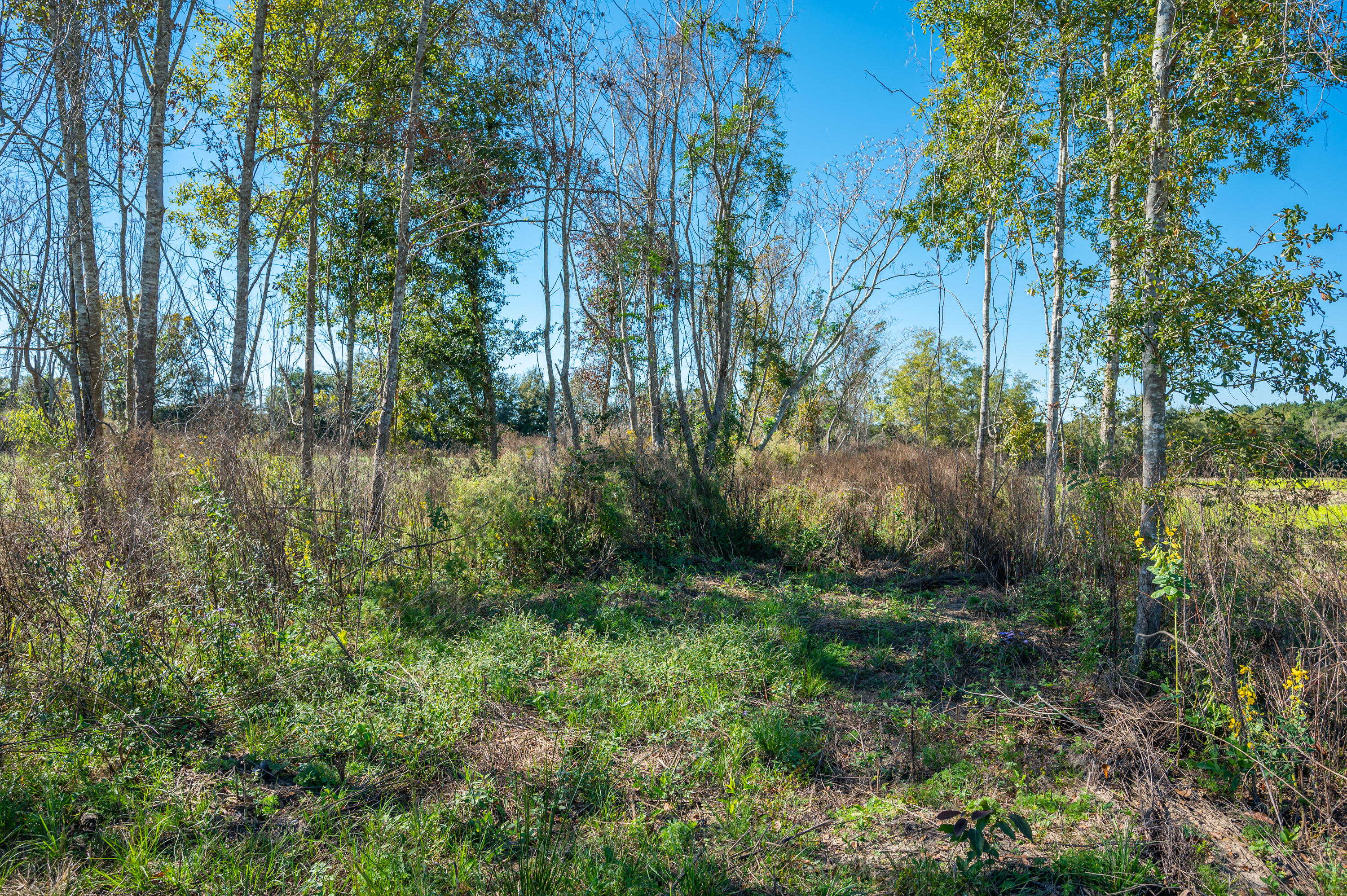 METES & BOUNDS - Land