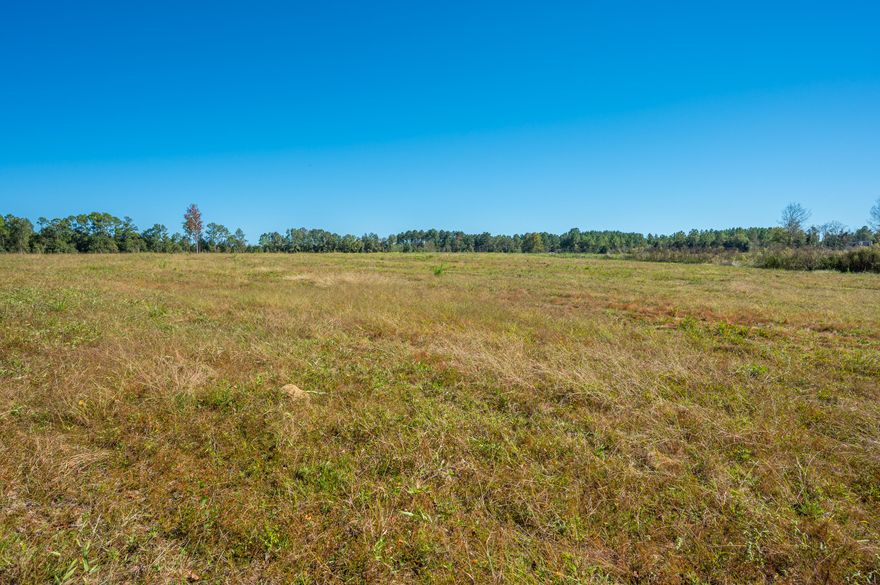 Looking for a great 20 acres in the North end of the county, this 20 acres has been cleared and is ready for you to make it yours! Paved road frontage, property allows for mobile home, horses and cows.  Checlo power runs in front of property, city water available. Great buy!