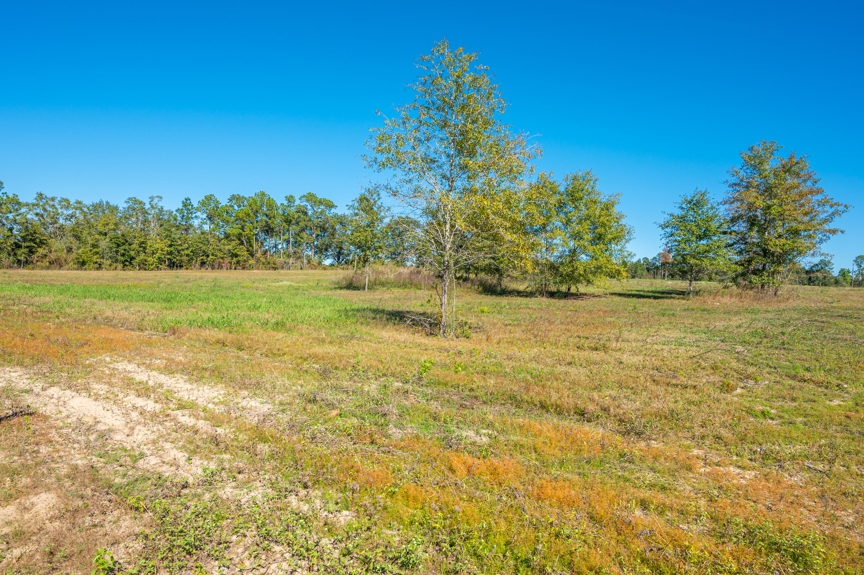 METES & BOUNDS - Land