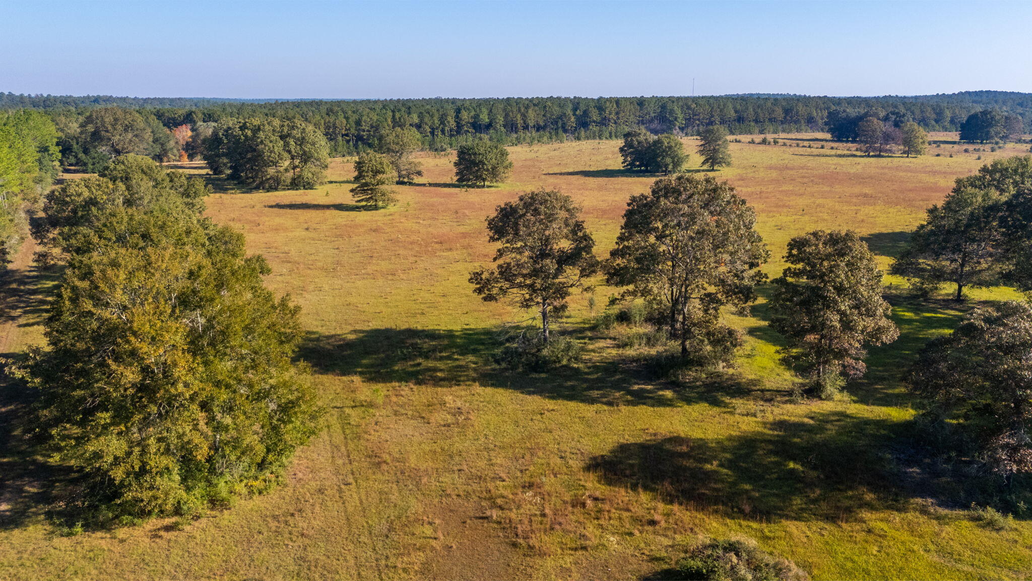 A rare opportunity to own 15 acres of pasture with scattered Stately Oaks throughout. Property is located in the North End of Walton County near the Paxton Area. This land features partial boundary fencing with gate. Electrical service is along the county maintained road. County Flood Map indicates property is all Zone X. Pick the perfect homesite among the Oaks.