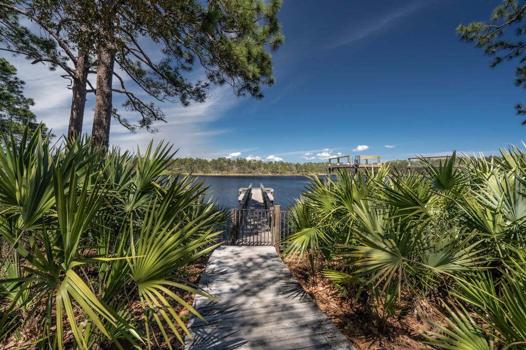 GRANDE POINTE AT INLET BEACH - Residential