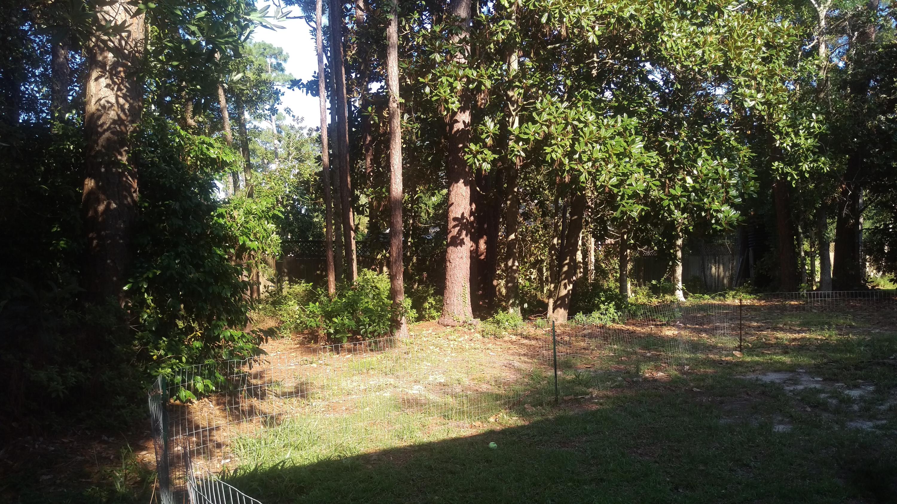 PINEWOOD ESTATES - Residential