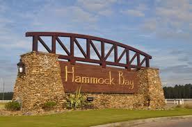 SYMPHONY AT HAMMOCK BAY - Residential