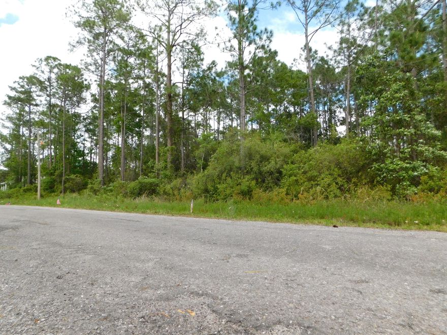 BEAUTIFUL AND AFFORDABLE LOT in Santa Rosa Beach, FL. Located just 1/2 mile from U.S. Hwy. 98 and only 3 miles to the word renown white sugary beaches of the Florida Emerald Coast. This property would be a great site for your residence, a beach vacation home or an income producing property. NO HOA.