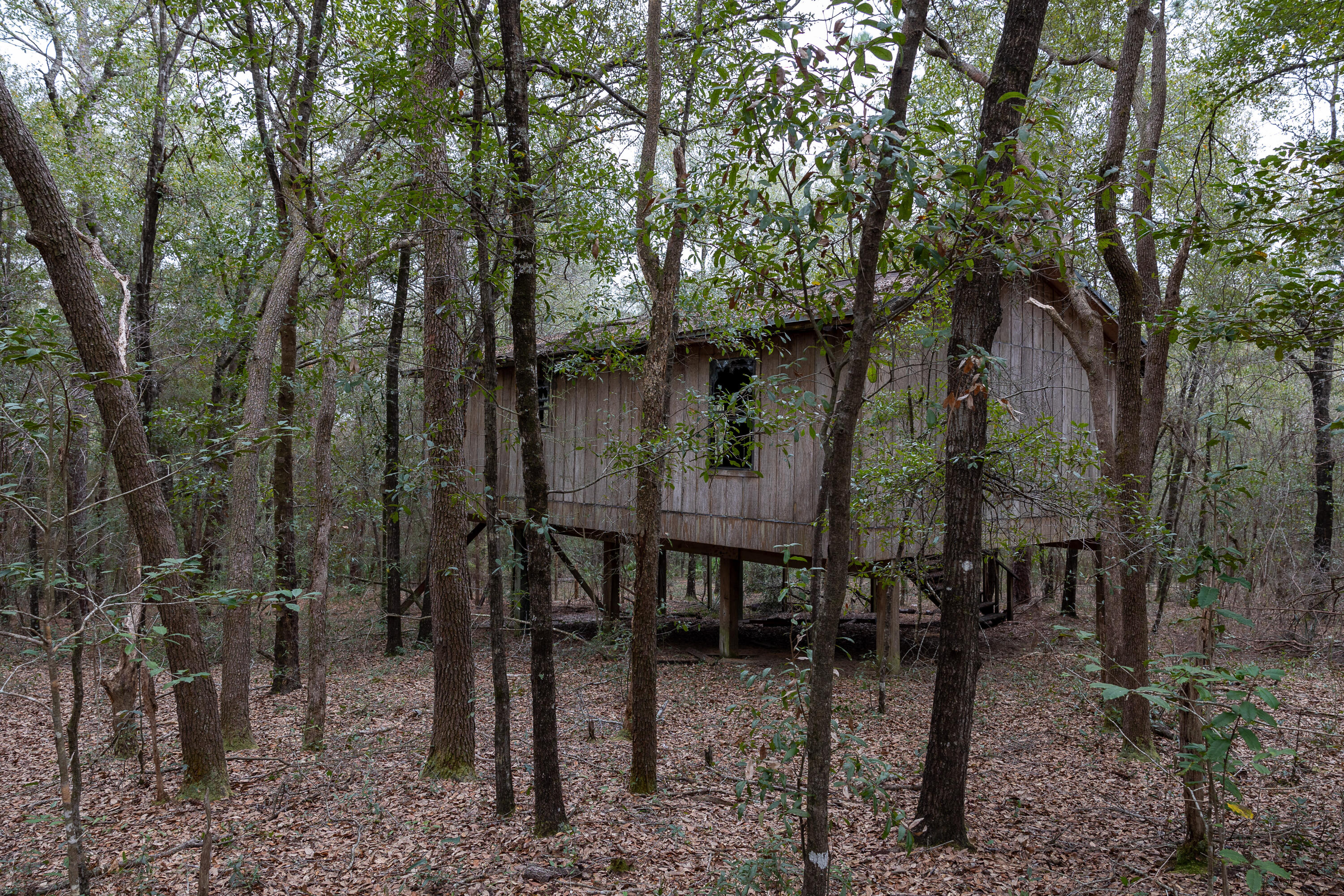 Property is beautifully wooded with many trees. Property is frontage to a dry lake bed. There is a wood structure on stilts on the property. It was intended to be a 2nd home and was never completed. USE CAUTION WHEN APPROACHING THE STRUCTURE, IT IS UNSAFE TO CLIMB STAIRS TO STRUCTURE,