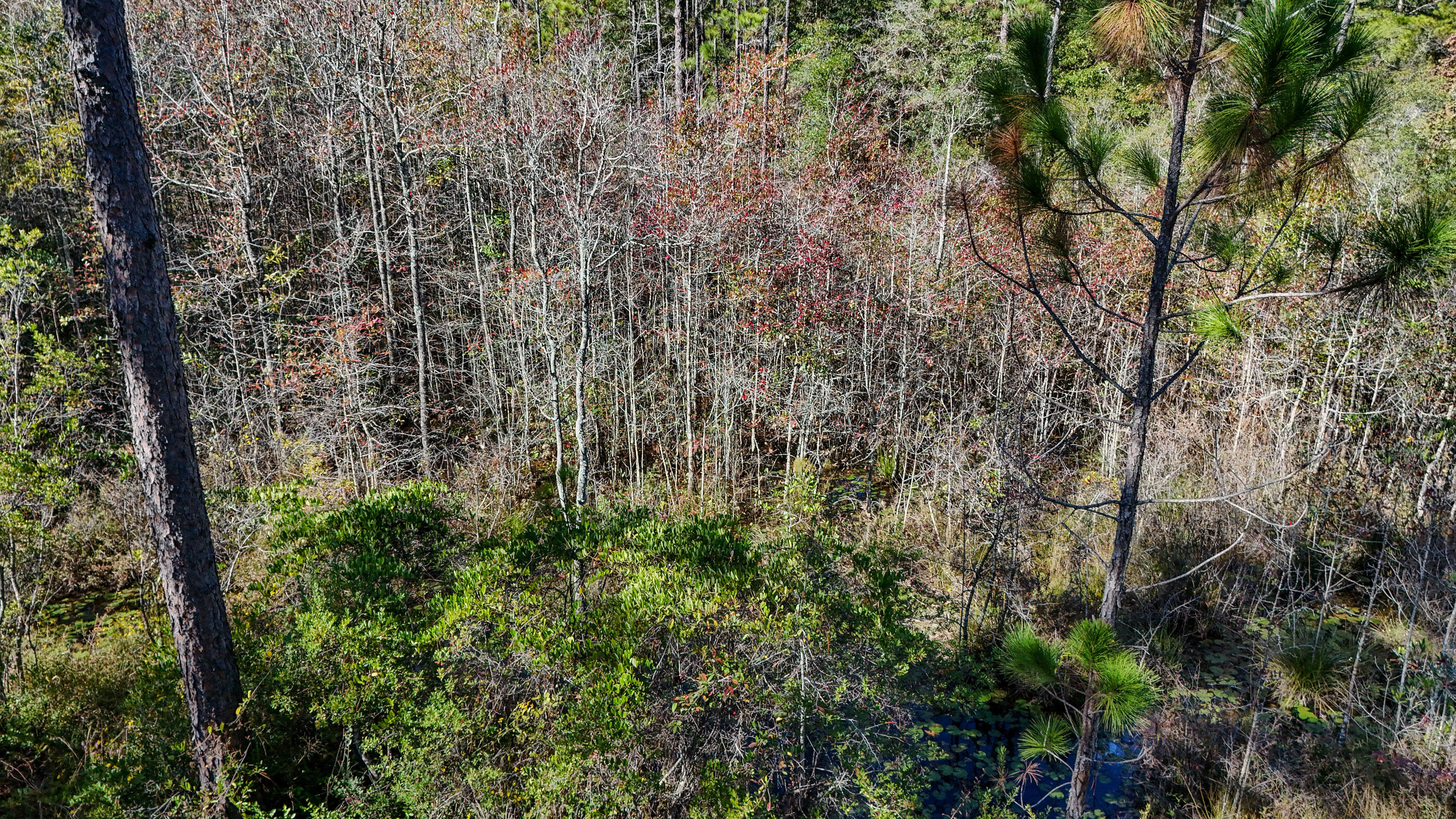 OAKWOOD HILLS UNIT 1 - Residential