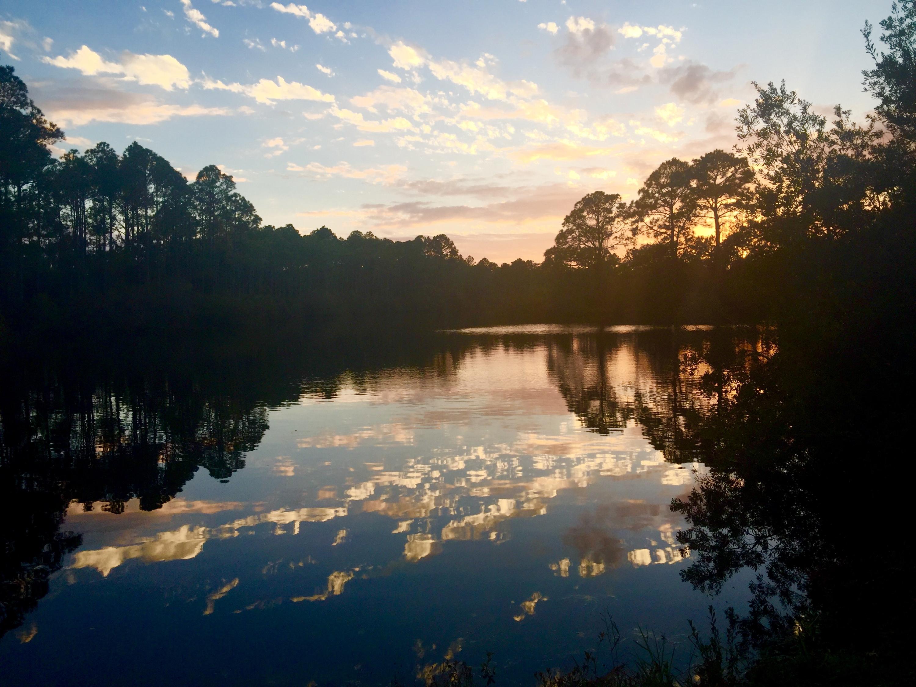 MACK BAYOU PARK - Residential