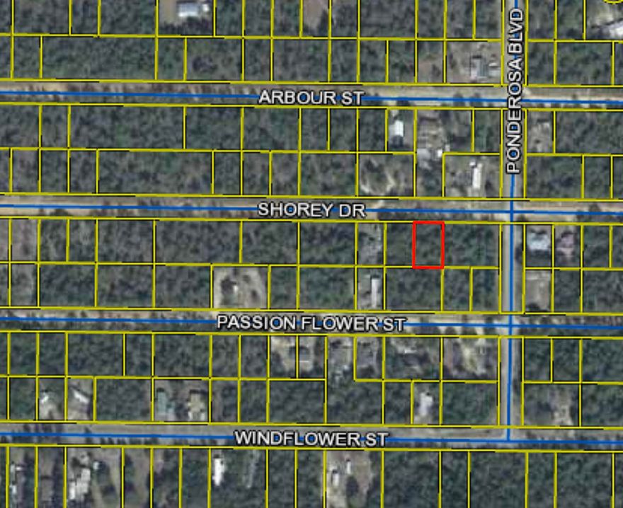 Nice level lot, partially cleared, near I-10 Exit at Mossy Head Community. City water available, Septic tank required.