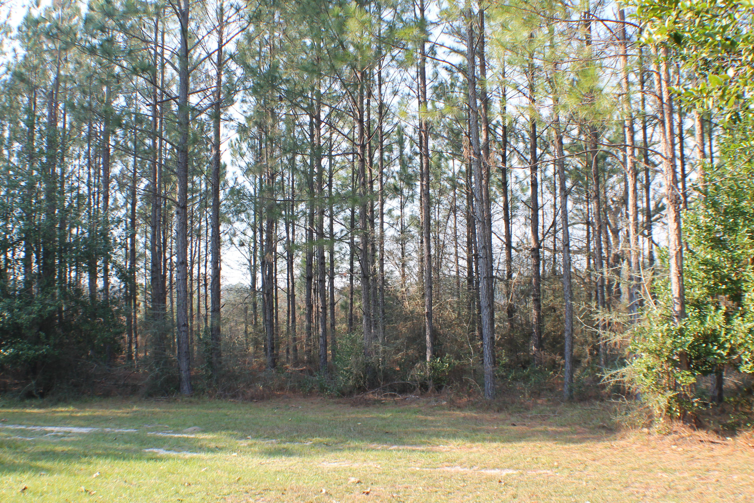 METES AND BOUNDS - Residential