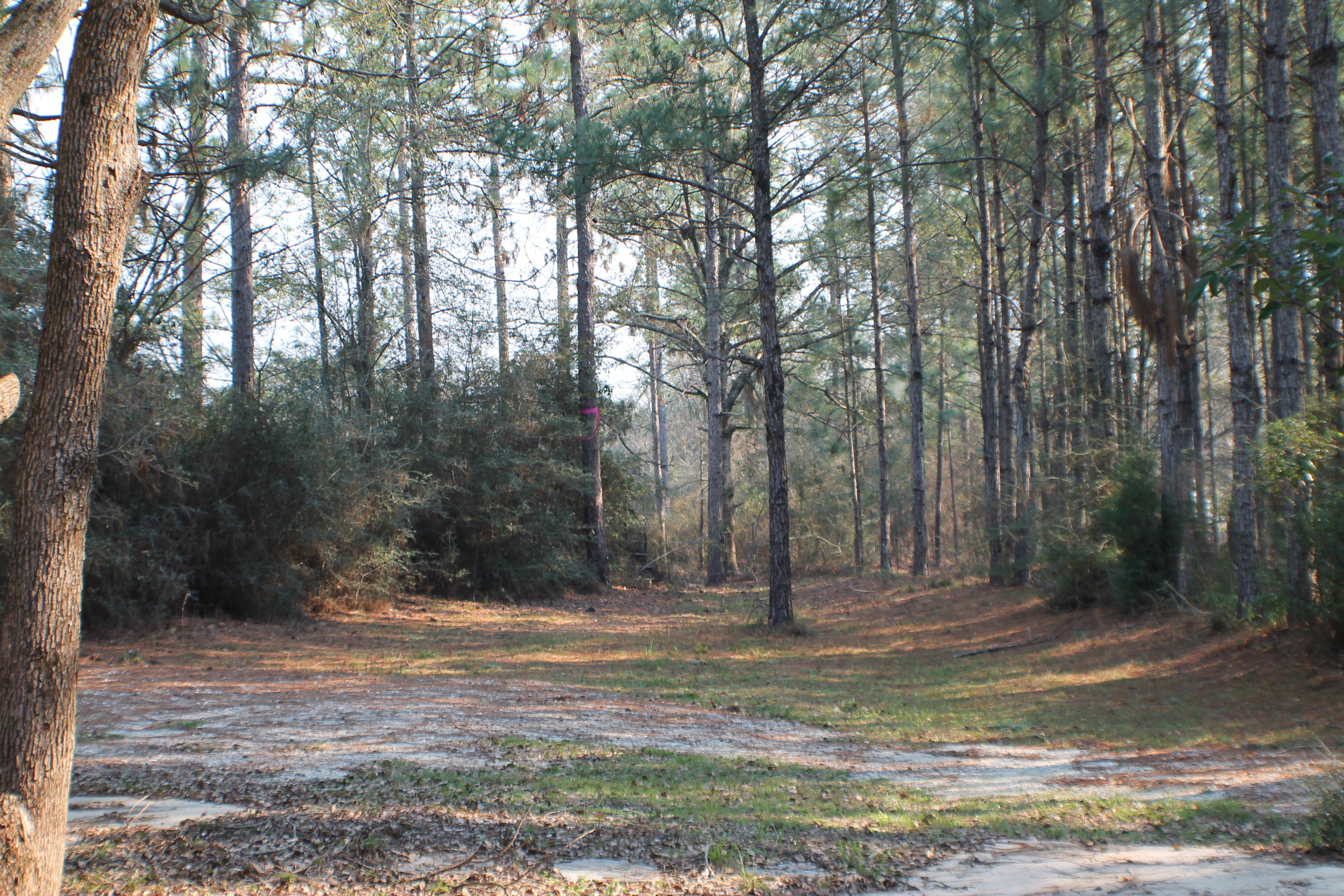 METES AND BOUNDS - Residential