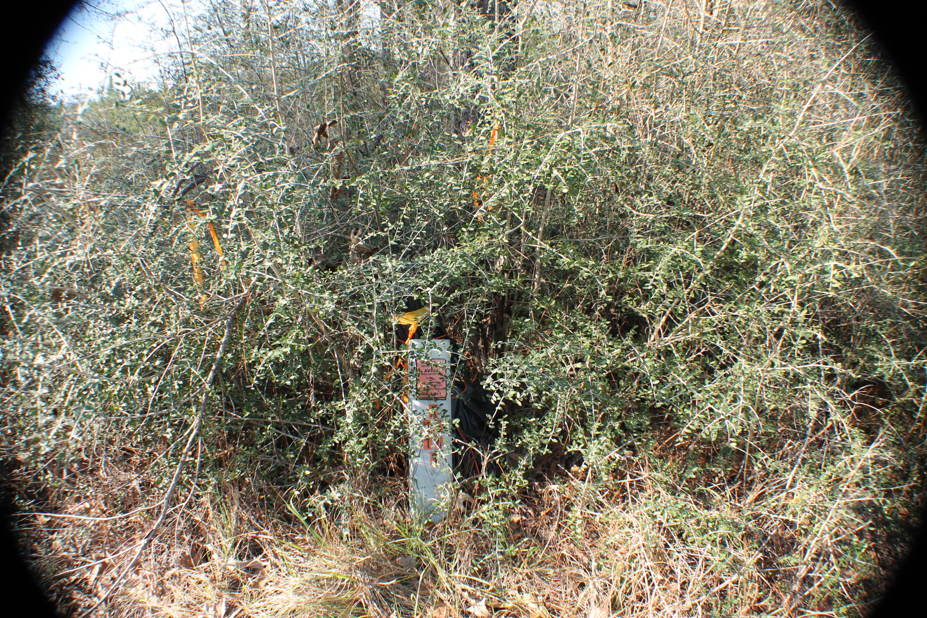 METES AND BOUNDS - Residential