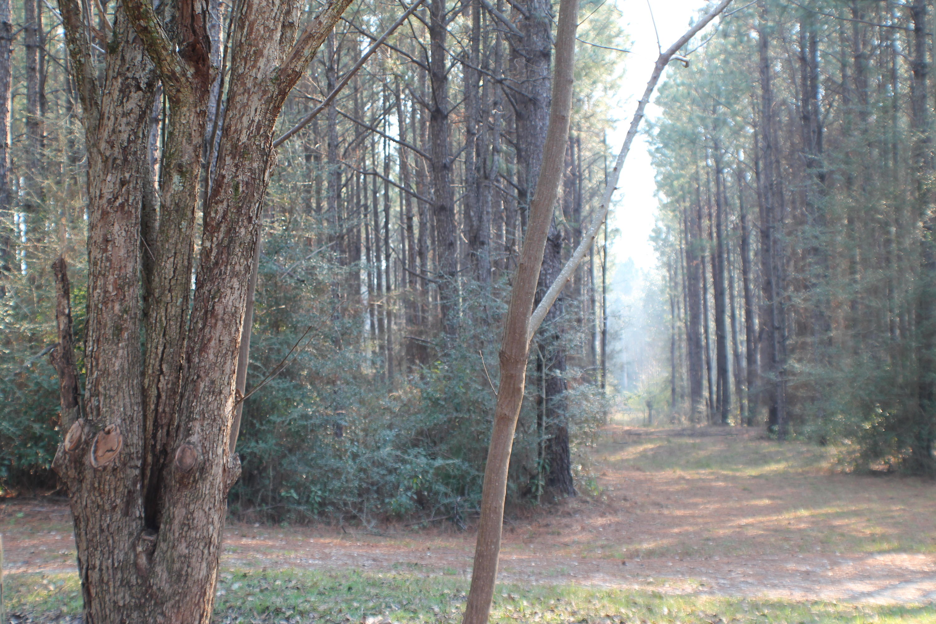 METES AND BOUNDS - Residential