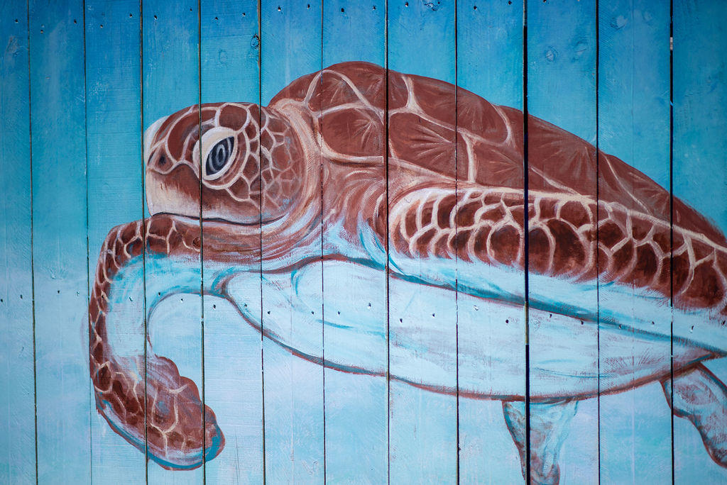 NONESUCH WAY - Residential