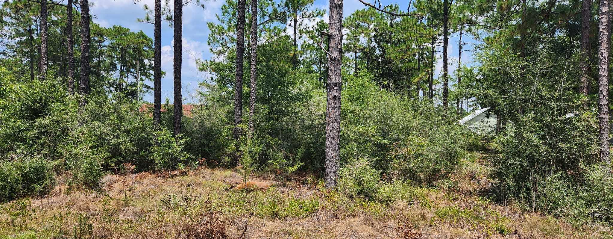Beautiful waterfront lot available on a paved road. Build to suit your dream home!