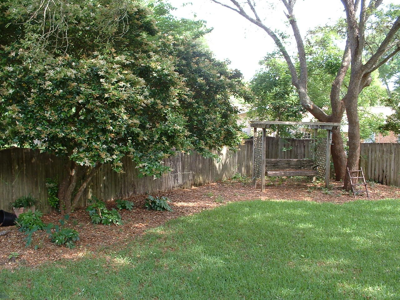 FOREST PLACE S/D - Residential