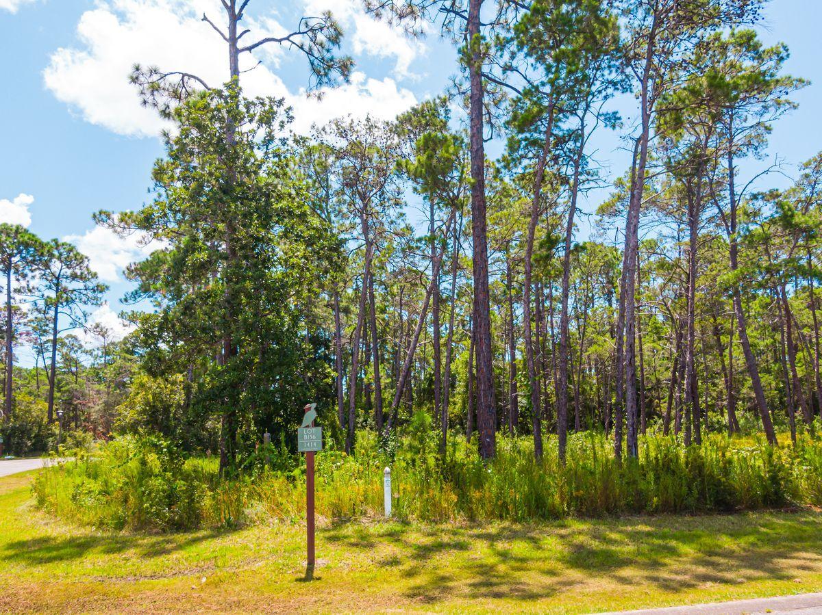 WILD HERON PHASE I - Land