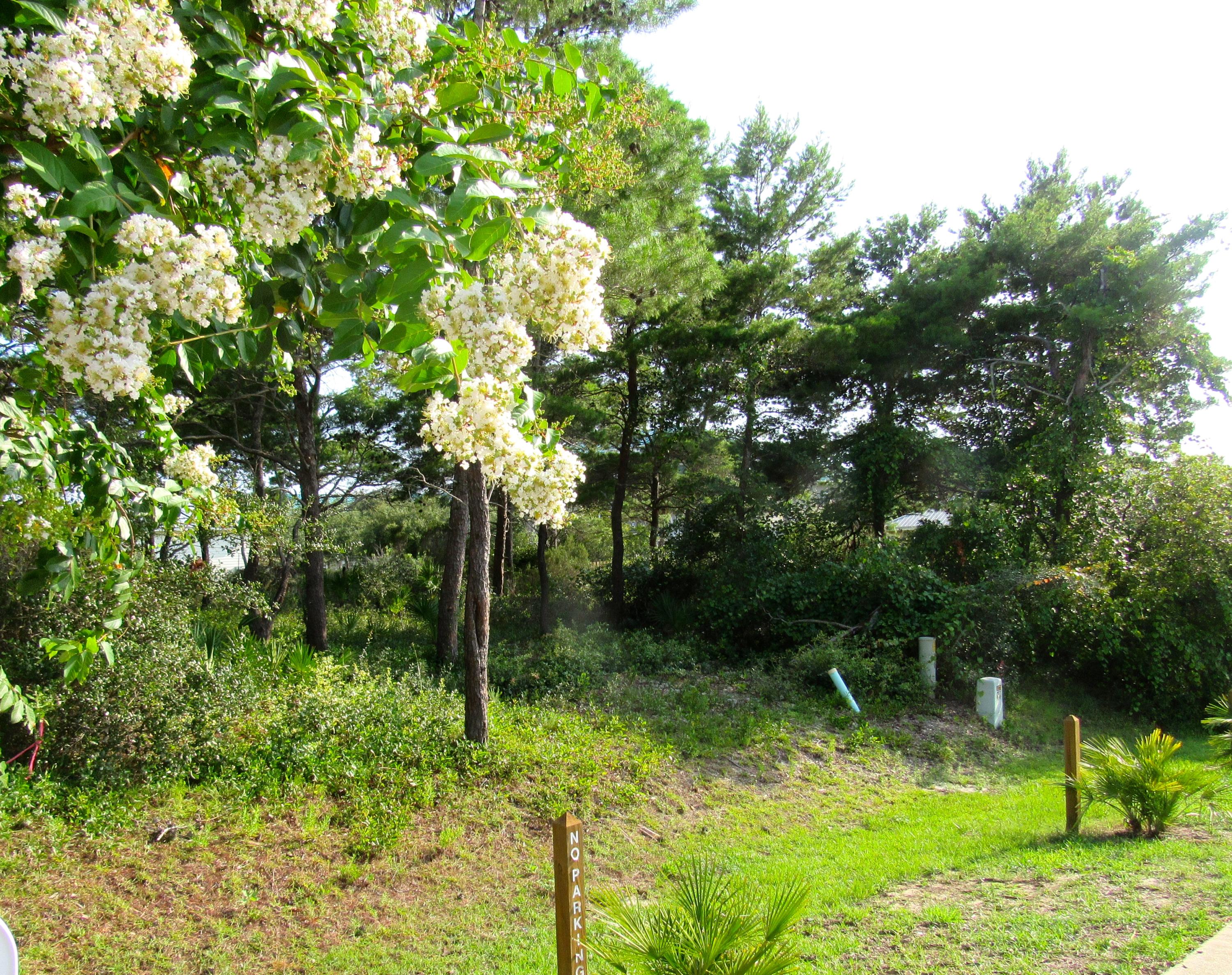 Ventana Dunes - Land