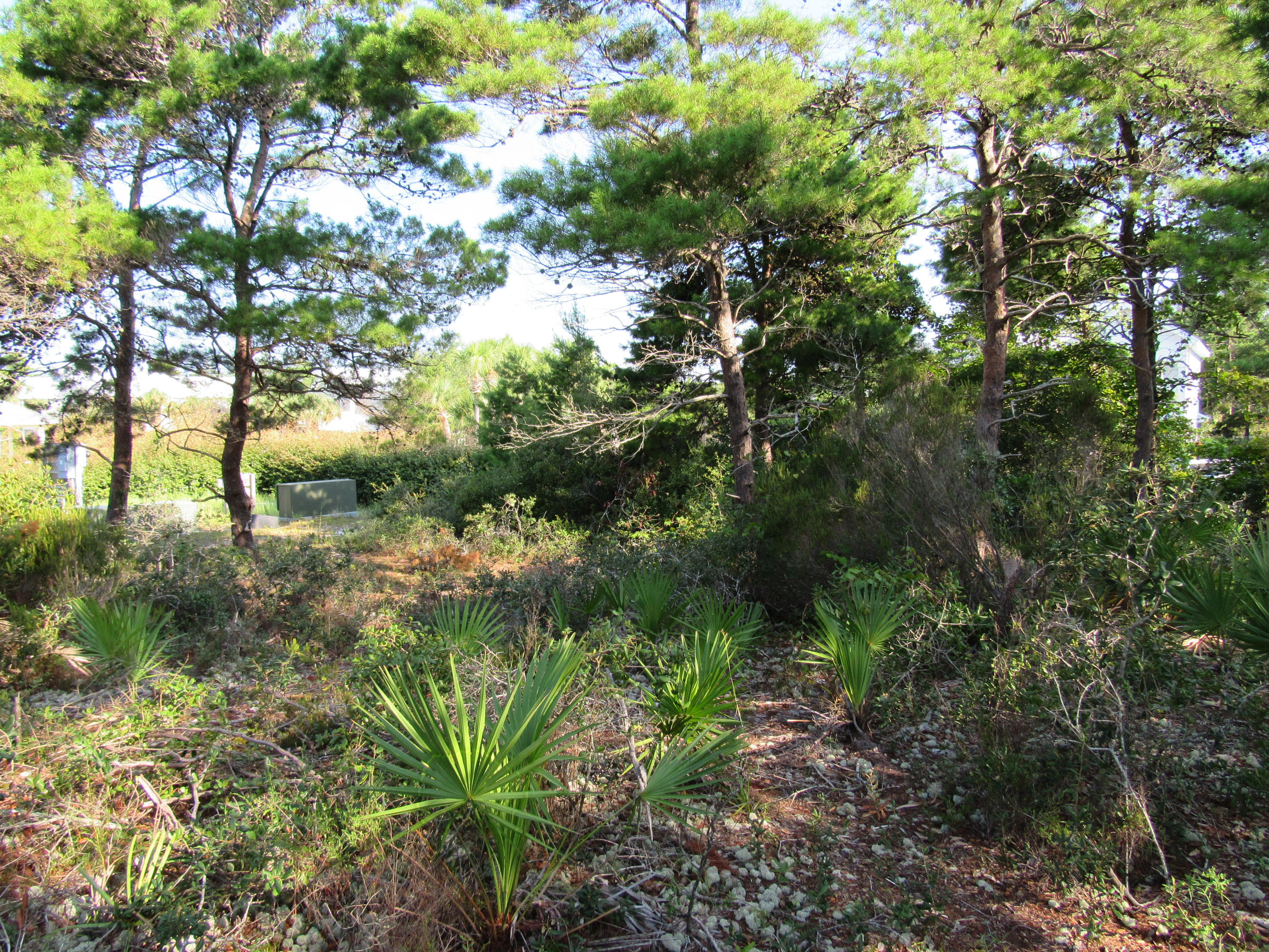 Ventana Dunes - Land
