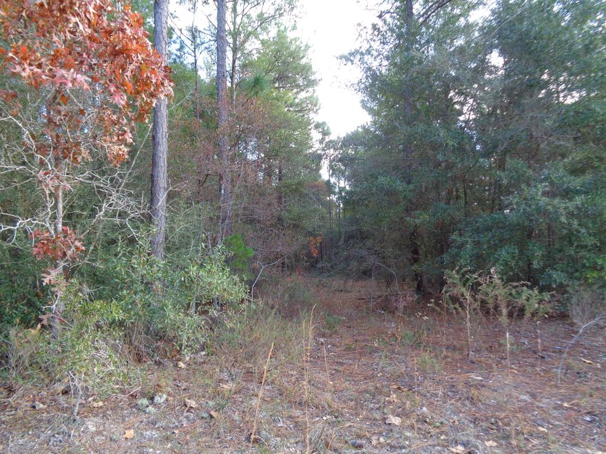 Wooded parcel in an area of small ranchettes. Perfect place for a manufactured home and to have horses. Trees allow for you to decide how much privacy you want. Mossy Head Community water is available. Tap has not been paid. New Mossy Head Elementary School is close to property as well as Blackstone Golf Course. Excellent location for conveniencebetween DeFuniak Springs and Crestview - close to Hwy 285, I-10 Duke Field and Eglin AFB. Copy of survey is in the file.