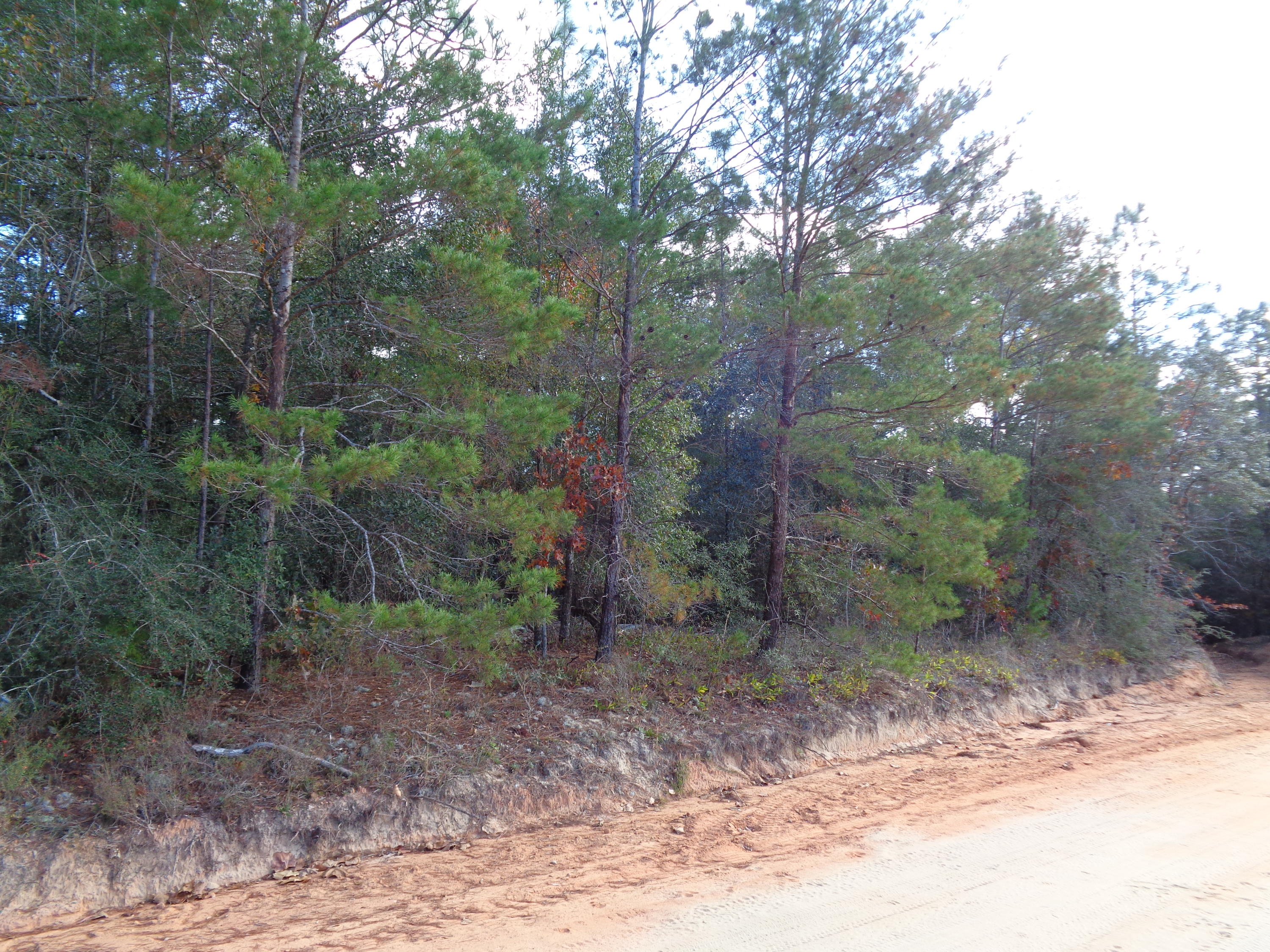 RIO RANCHEROS UNREC - Land