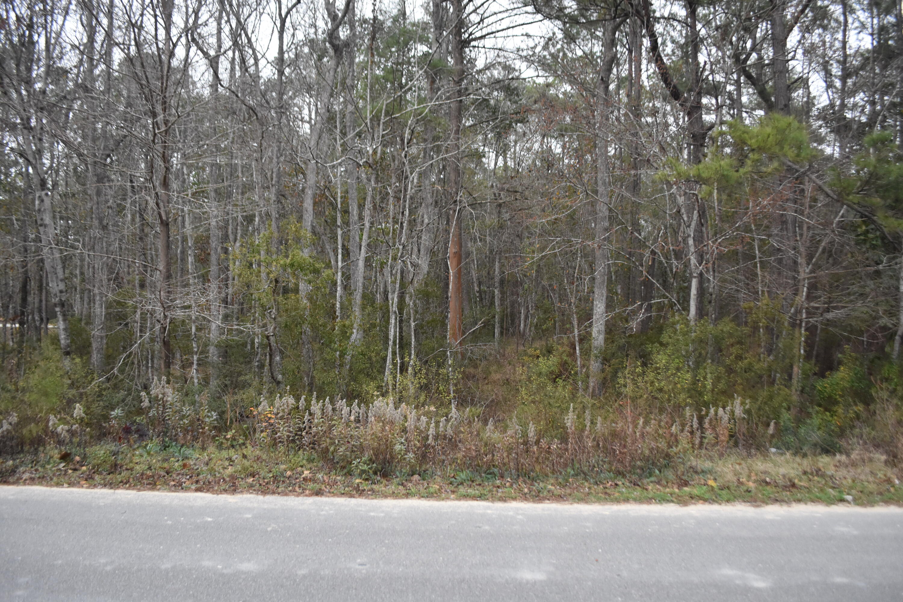 Country living close to one of the fastest growing towns in the nation! This .54 acre corner lot is heavily treed with mature pines and oaks, and may offer Bayou Views across Shoreline Drive. Design the right home to capture the view cooradoor. LaGrange Shores does not have a homeowners' association or annual dues, & features public roads with public water and electric available. Deed resitrictions can be found in documents. Septic tanks are required at this time. Per the plat map, there is a small area of wetlands at the west corner of the lot. This should not interfere with your building site. Buyer to verify all matters of importance.
