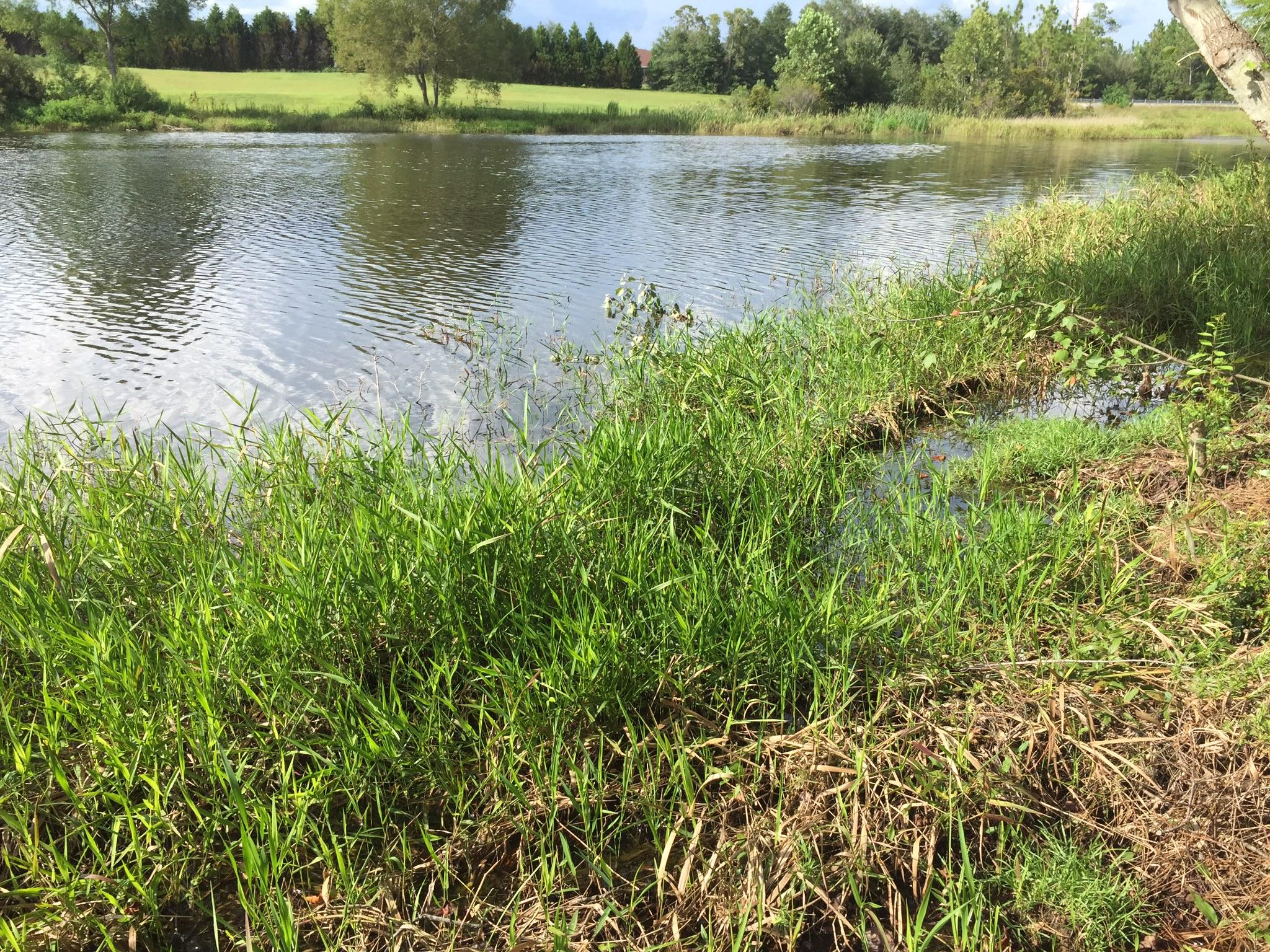 SHOAL LANDING EAST - Residential