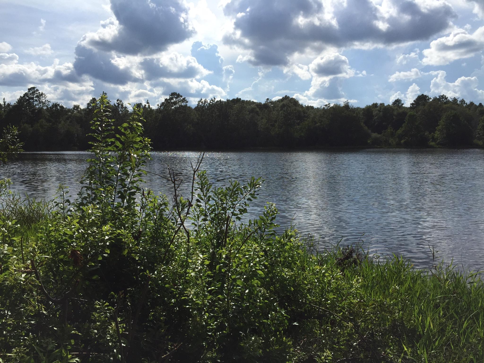 SHOAL LANDING EAST - Residential